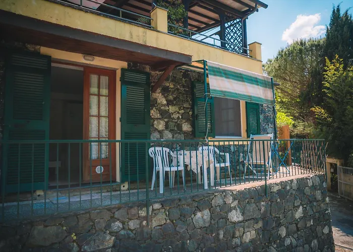 L'ulivo